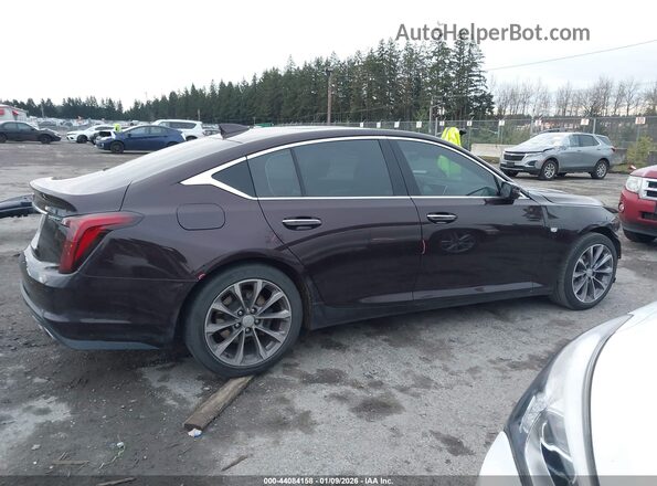 1G6DN5RK2M0112246 2021 CADILLAC CT5 Burgundy Widok wnętrza 360 stopni
