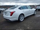 2025 Cadillac Ct5 Premium Luxury Rwd Белый vin: 1G6DS5RK7S0104309