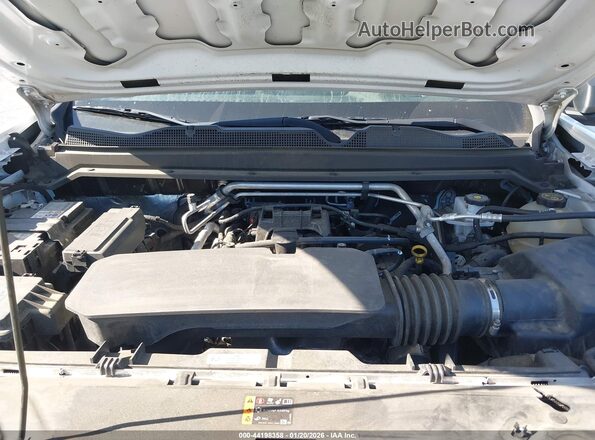 1GCGSBEC1P1230982 2023 CHEVROLET COLORADO White Вид ззаду
