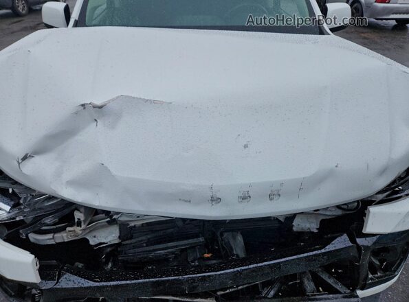 1GCGSCEN5M1210530 2021 CHEVROLET COLORADO White Սալոնի հետևի տեսք