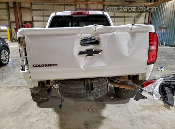 1GCGTCEN3J1230803 2018 CHEVROLET COLORADO Белый Вид сзади