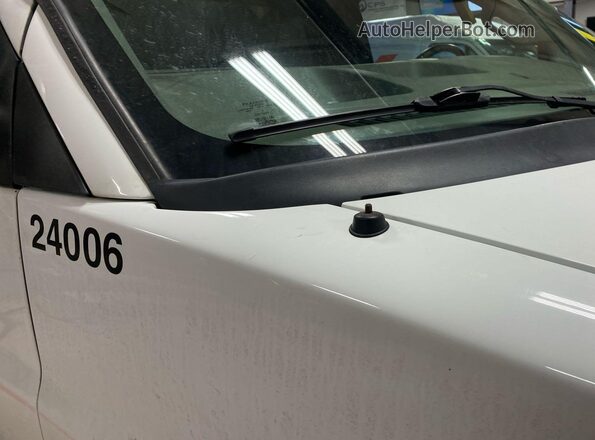 1GCWGAFPXK1243523 2019 CHEVROLET EXPRESS White 