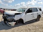 2024 Chevrolet Tahoe C1500 White vin: 1GNSCLED9RR370912