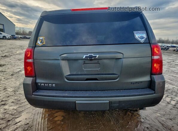 1GNSKBKCXKR227899 2019 CHEVROLET TAHOE Зеленый Вид сзади