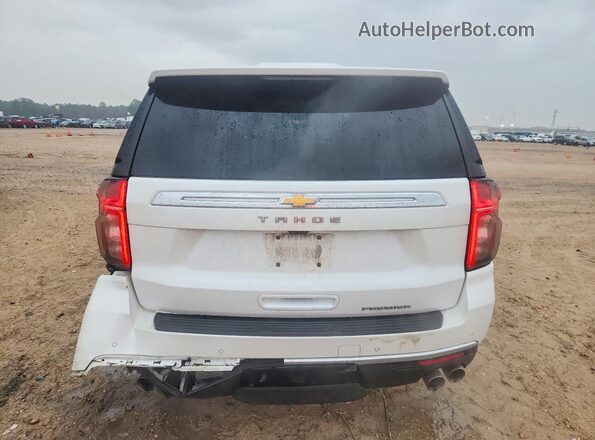 1GNSKSKD7PR556138 2023 CHEVROLET TAHOE Белый Вид сзади