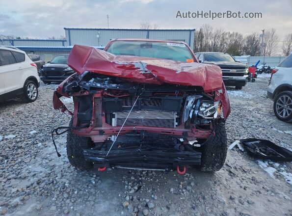 1GTG6FEN8M1295546 2021 GMC CANYON Красный Вид спереди