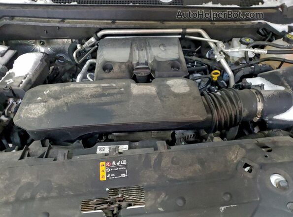 1GTP6DEK5P1241393 2023 GMC CANYON Белый Вид задней части салона