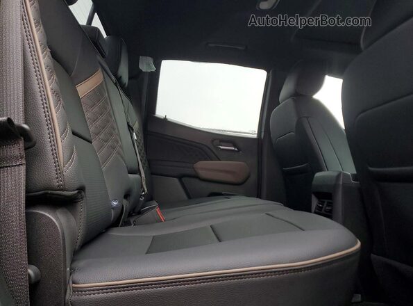 1GTP6FEK0R1302096 2024 GMC CANYON Серебряный Вид задних сидений