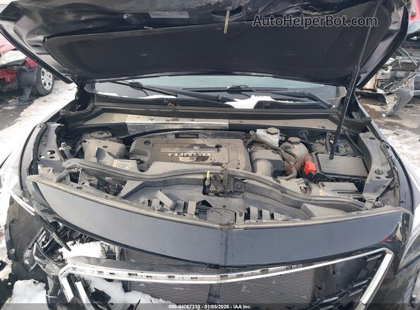 1GYFZBR48MF010872 2021 CADILLAC XT4 Черный Вид сзади