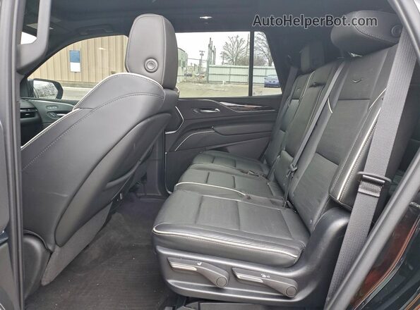 1GYS4FKL7PR287117 2023 CADILLAC ESCALADE Черный Вид задней части салона