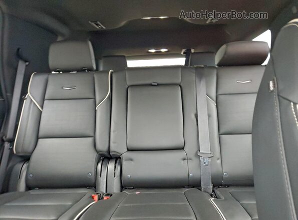 1GYS4FKL7PR287117 2023 CADILLAC ESCALADE Черный Вид задних сидений