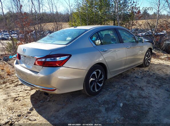 1HGCR2F72HA044642 2017 HONDA ACCORD Gray Trasero derecho