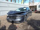2025 Honda Accord Se Серый vin: 1HGCY1F49SA083481