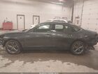 2025 Honda Accord Hybrid Ex-l Gray vin: 1HGCY2F63SA024014 2025 Honda Accord Hybrid Ex-l Gray vin: 1HGCY2F63SA024014