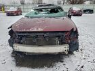 2016 Nissan Maxima 3.5s Red vin: 1N4AA6AP7GC439114