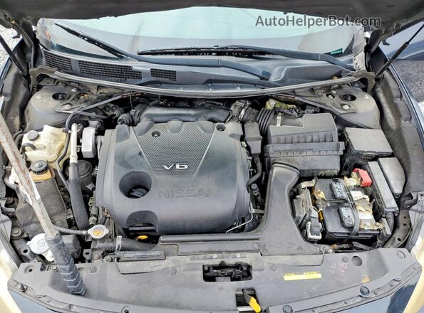 1N4AA6APXGC411064 2016 NISSAN MAXIMA Charcoal Widok wnętrza z tyłu