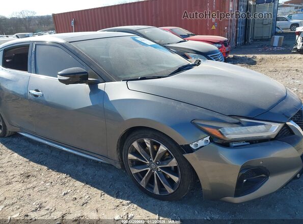 1N4AA6AV2KC380335 2019 NISSAN MAXIMA Серый Вид спереди