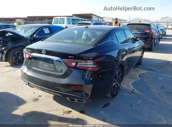 1N4AA6CV2PC509100 2023 NISSAN MAXIMA Black Trasero derecho