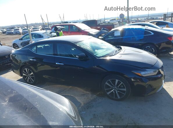 1N4AA6CV2PC509100 2023 NISSAN MAXIMA Black Vista interior trasera