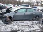 2023 Nissan Maxima Sv Gray vin: 1N4AA6CV2PC511459