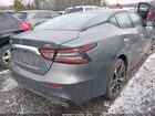 2023 Nissan Maxima Sv Gray vin: 1N4AA6CV2PC511459