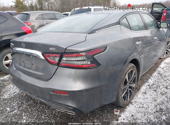 1N4AA6CV2PC511459 2023 NISSAN MAXIMA Gray Tył prawy
