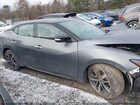 2023 Nissan Maxima Sv Gray vin: 1N4AA6CV2PC511459