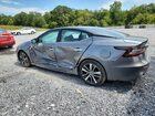 2023 Nissan Maxima Sv Gray vin: 1N4AA6CV5PC509902