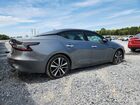 2023 Nissan Maxima Sv Gray vin: 1N4AA6CV5PC509902