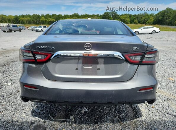 1N4AA6CV5PC509902 2023 NISSAN MAXIMA Gray Vista trasera