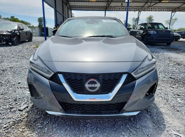 1N4AA6CV5PC509902 2023 NISSAN MAXIMA Gray Vista frontal