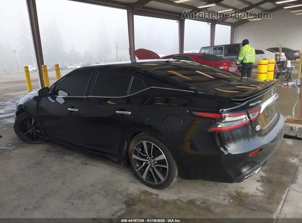 1N4AA6CV6PC509097 2023 NISSAN MAXIMA Черный 