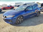 2021 Nissan Maxima Sv Синий vin: 1N4AA6CVXMC512760