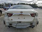 2023 Nissan Maxima Sv White vin: 1N4AA6CVXPC503626