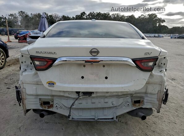 1N4AA6CVXPC503626 2023 NISSAN MAXIMA White Widok z tyłu