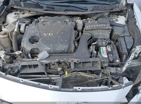 1N4AA6DV9LC367501 2020 NISSAN MAXIMA SL Silver Հետևի տեսք