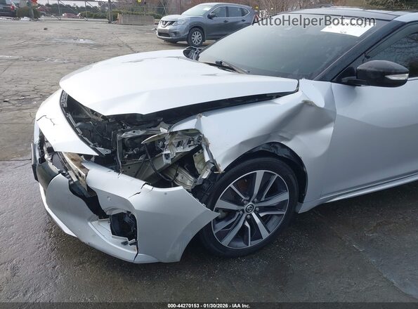 1N4AA6DV9LC367501 2020 NISSAN MAXIMA SL Silver Դիմացի տեսք