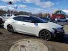 2023 Nissan Maxima Sr Белый vin: 1N4AA6EV9PC507678