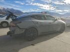 2023 Nissan Maxima Sr Серебряный vin: 1N4AA6EVXPC502702