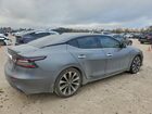 2023 Nissan Maxima Platinum Серый vin: 1N4AA6FV1PC501047
