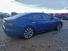 2023 Nissan Maxima Platinum Синий vin: 1N4AA6FV1PC503932