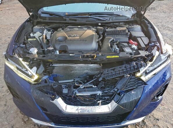 1N4AA6FV1PC503932 2023 NISSAN MAXIMA PLATINUM Синий Вид задней части салона