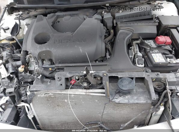 1N4AA6FV6PC501299 2023 NISSAN MAXIMA PLATINUM Белый Вид сзади