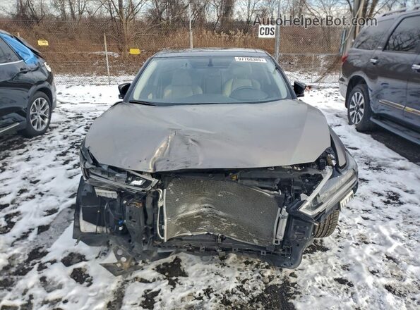 1N4AA6FVXPC511897 2023 NISSAN MAXIMA PLATINUM Серый Вид спереди
