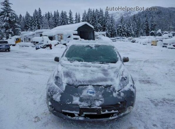 1N4AZ0CP3GC310662 2016 NISSAN LEAF Угольный Вид спереди