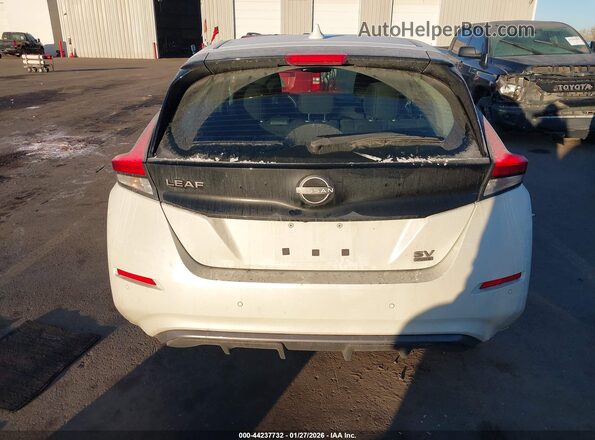 1N4CZ1CV3RC550536 2024 NISSAN LEAF Белый 