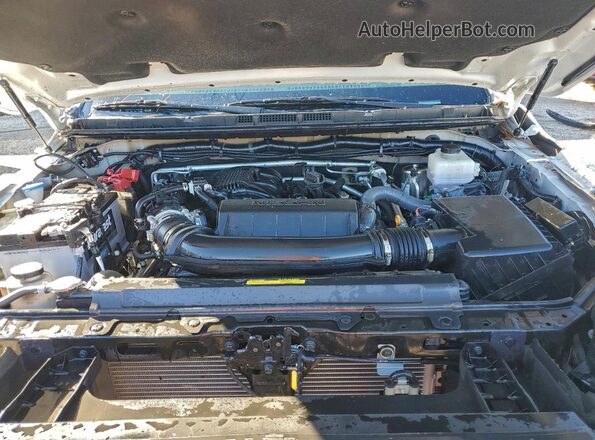 1N6ED1CL2RN635921 2024 NISSAN FRONTIER Белый Вид задней части салона