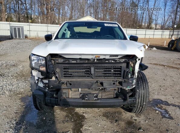 1N6ED1CL3RN660438 2024 NISSAN FRONTIER White Вид спереду