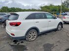 2020 Kia Sorento L Белый vin: 5XYPG4A37LG623169