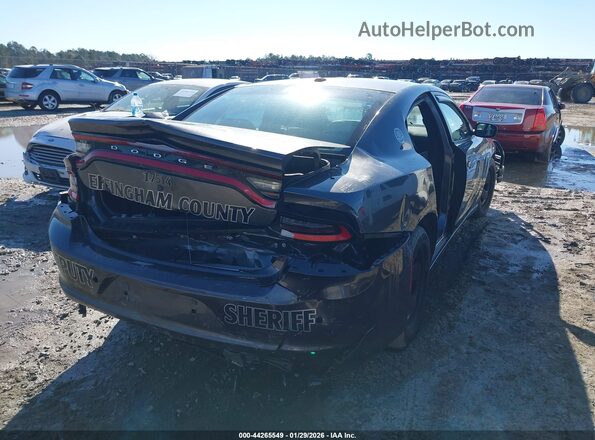 2C3CDXAT2PH583846 2023 DODGE CHARGER Серый Задняя правая четверть